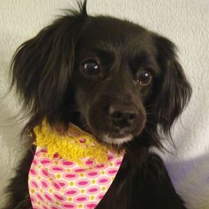Meet your Posher, Mindy